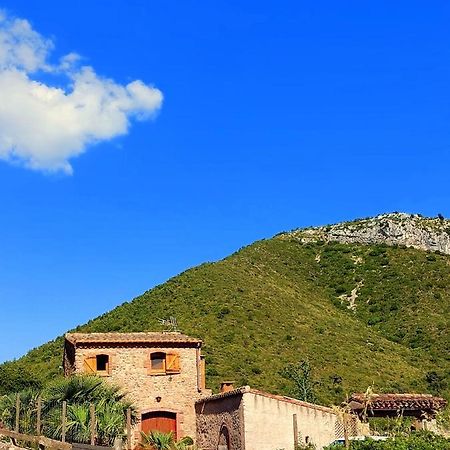 Corral D'En Romagosa Vendégház Begues Kültér fotó